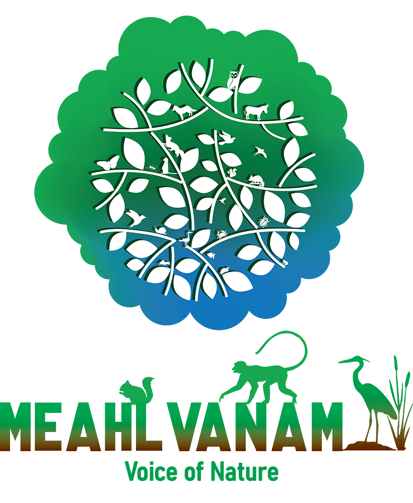 Meahlvanam